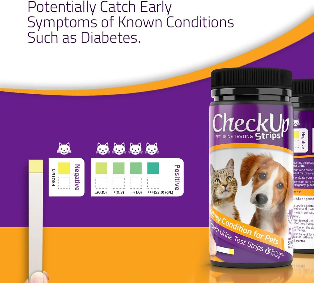 CheckUp Testing Strips x 50