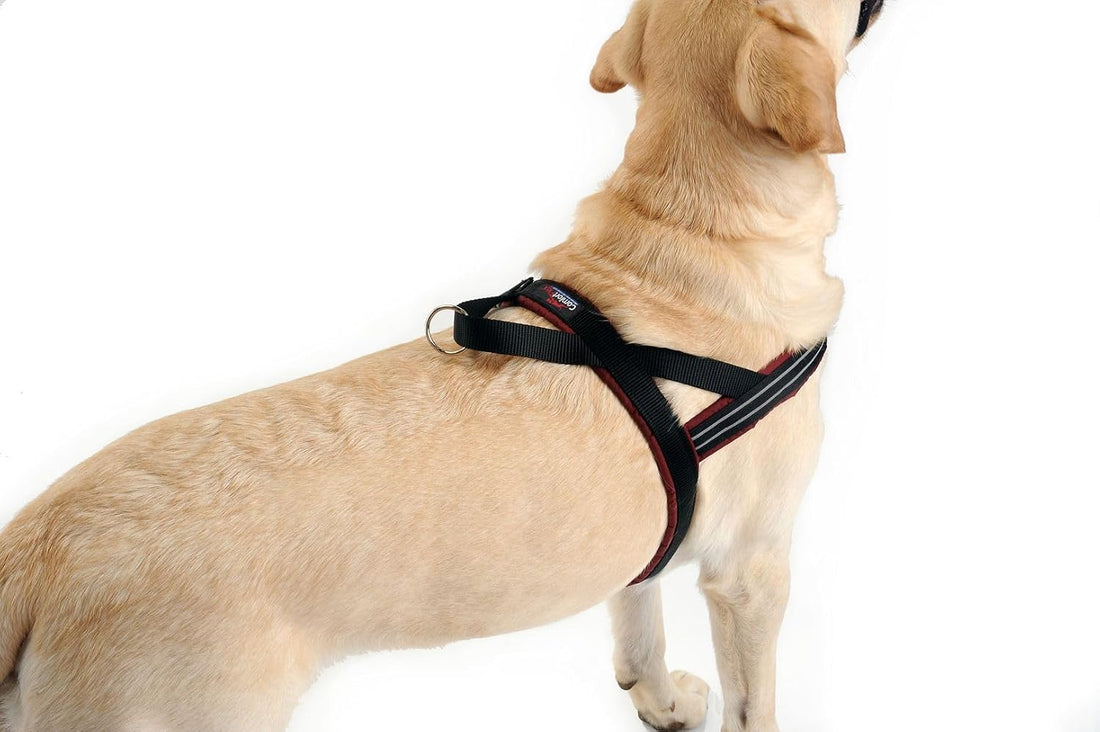ComfortFlex No-Choke Non-Chafe Sport Dog Harness, Small/Medium