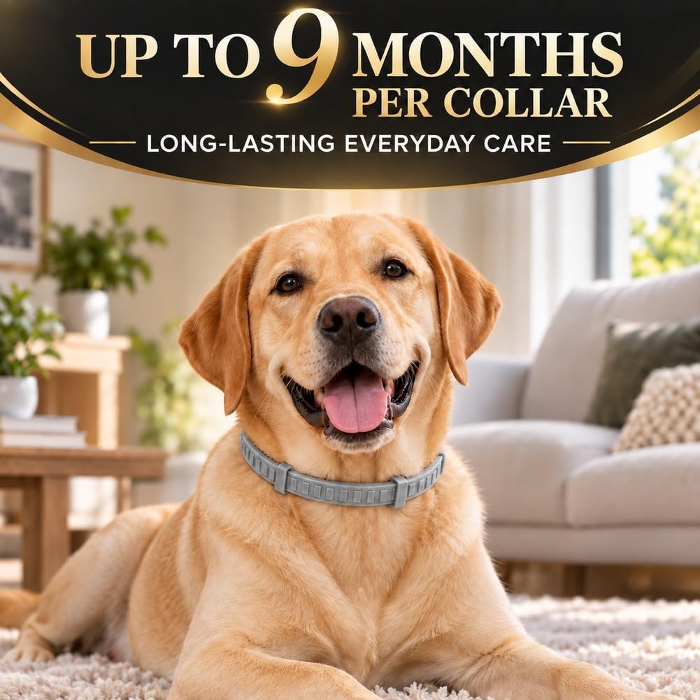 Flea Collar for Dogs, Flea and Tick Collar for Large Dogs-4 Pcs