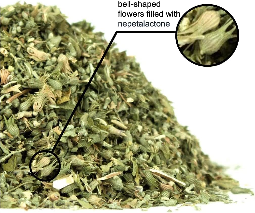 munchiecat Organic Catnip Refill
