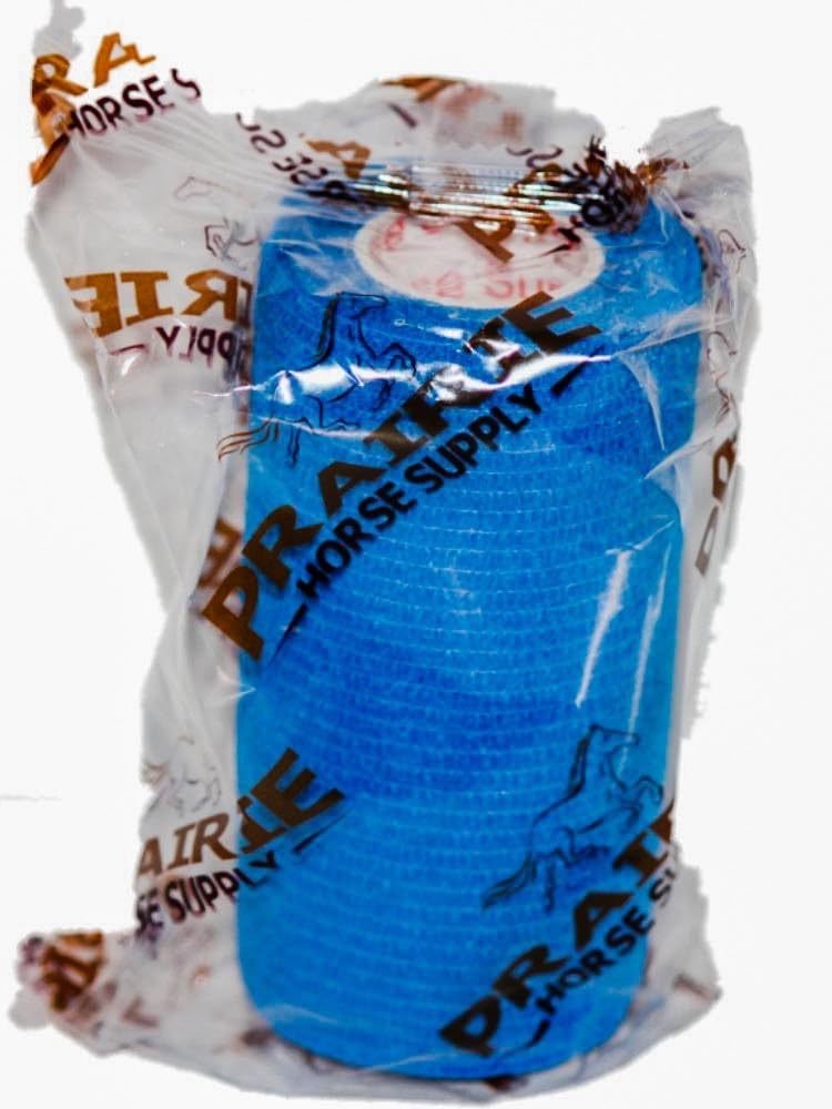 2 Inch Self Adhesive Bandage Wrap & Athletic Tape - 2Pk, Blue