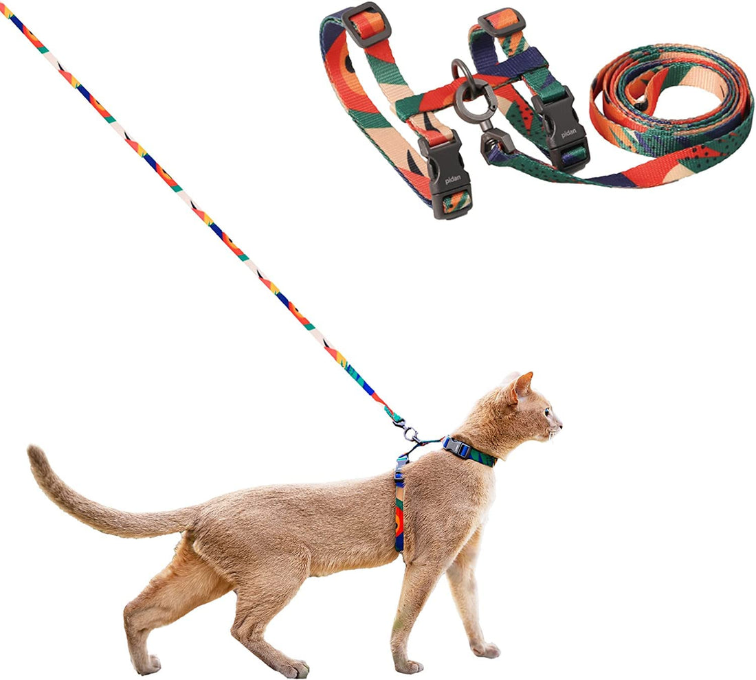 pidan Cat Harness and Leash Set, Cats Escape Proof