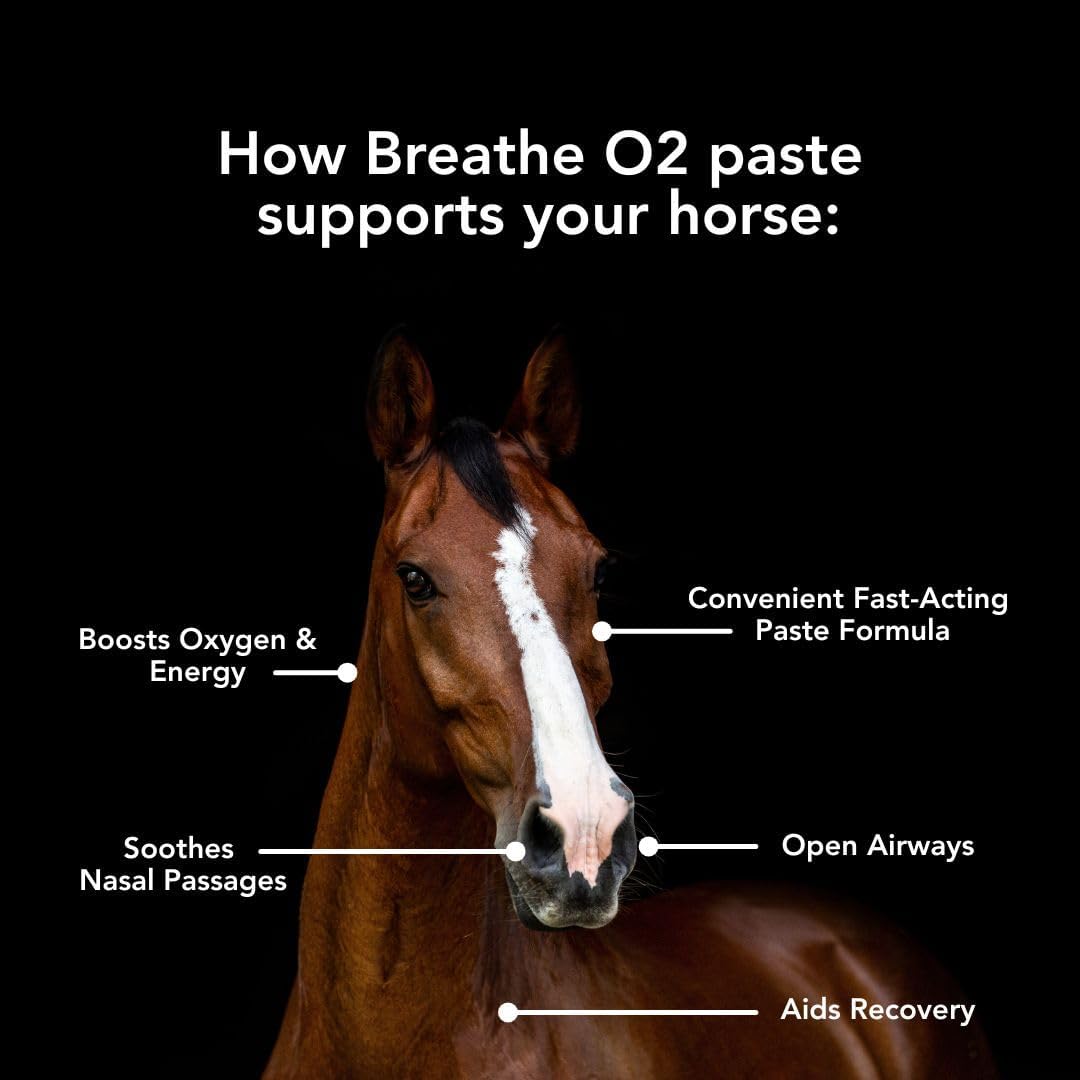 MVP Breathe O'2 Pre-Race Paste to Support Lung/Airway Function