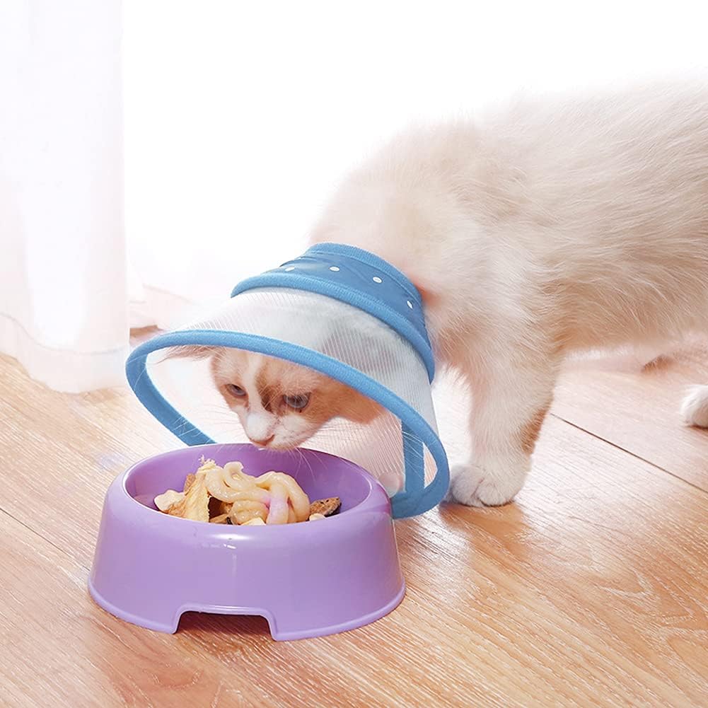 Vivifying Dog Recovery Cone for Small Dogs & Cats, Snap Closure, Blue