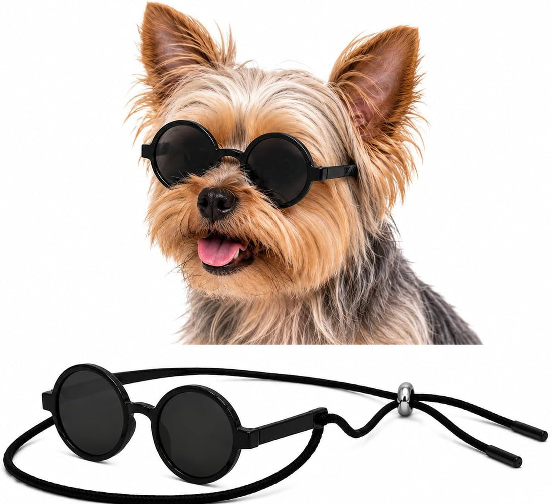 G016 Small Breed Dog up to 15lbs Pet Cat Round Tiny Sunglasses (Black)