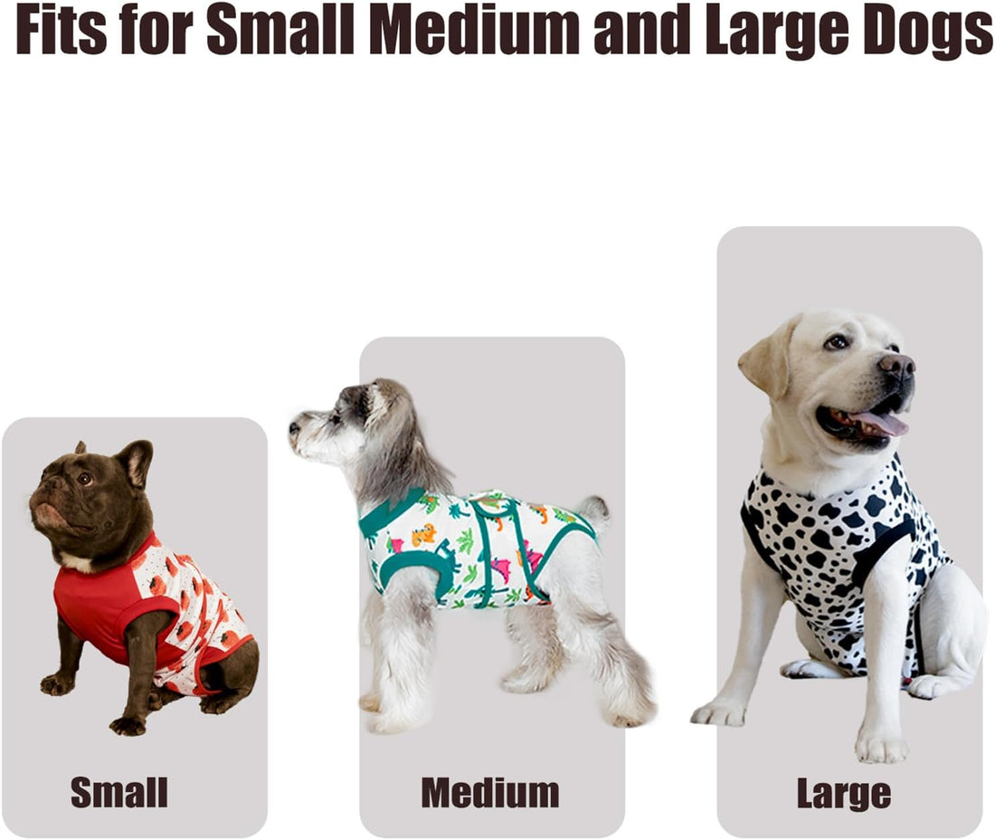 Recovery Suit for Dogs After Surgery
