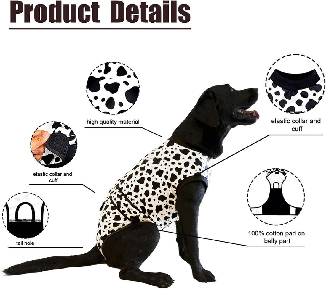 Recovery Suit for Dogs After Surgery