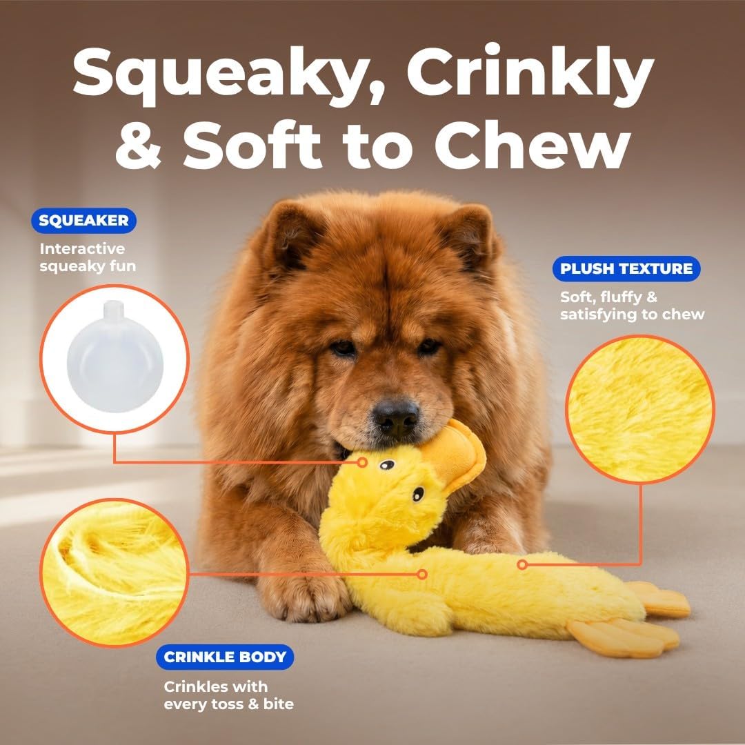 Best Pet Supplies Interactive Squeaky Dog Chew Toy