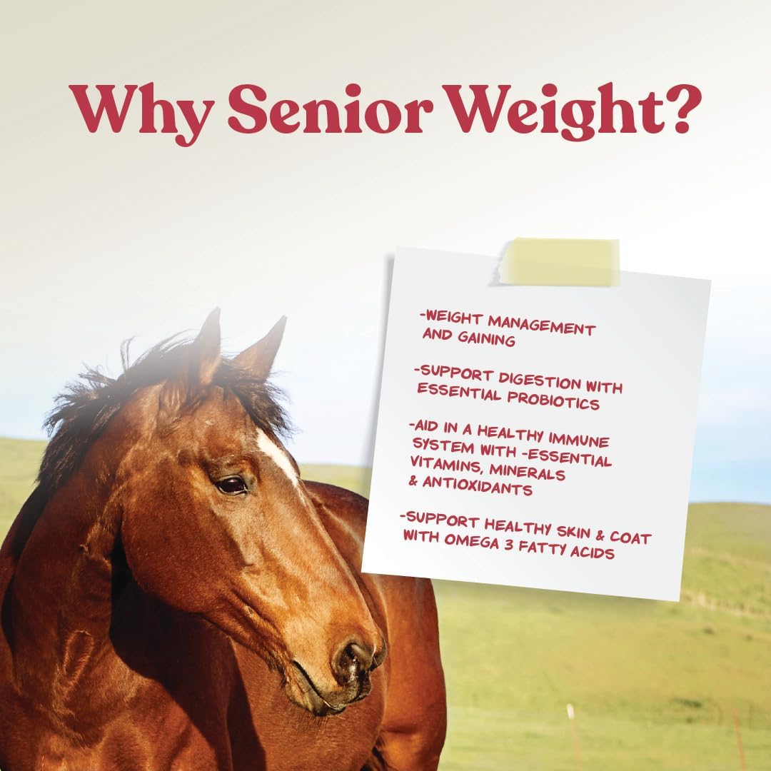 Manna Pro Weight Accelerator Horse Supplement, Meal Topper, Omega-3