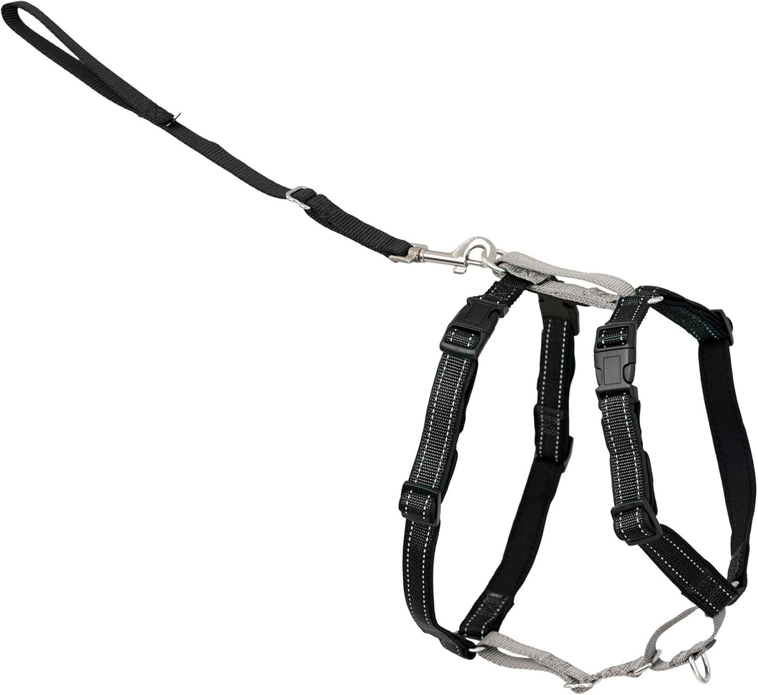 PetSafe 3 in 1 No-Pull Dog Harness - Walk, Train or Travel