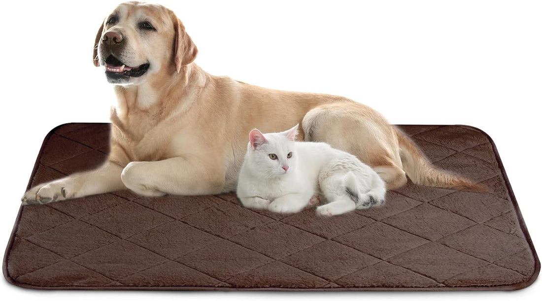 NWK Self Warming Thermal Pet Mat for Dogs and Cats (Black, Small)