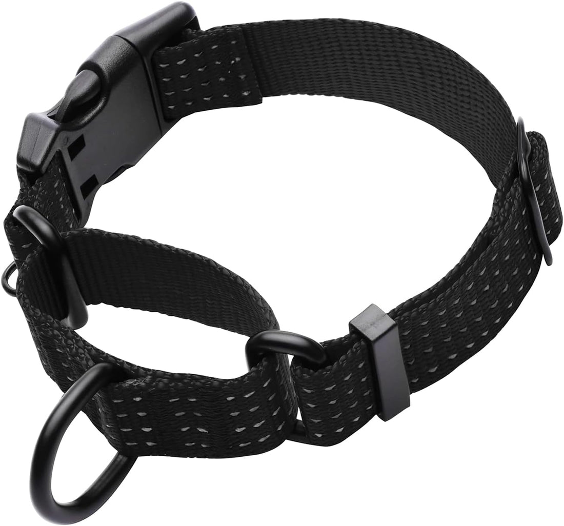 Martingale Collar for Dogs with Buckle-USA Flag,XL