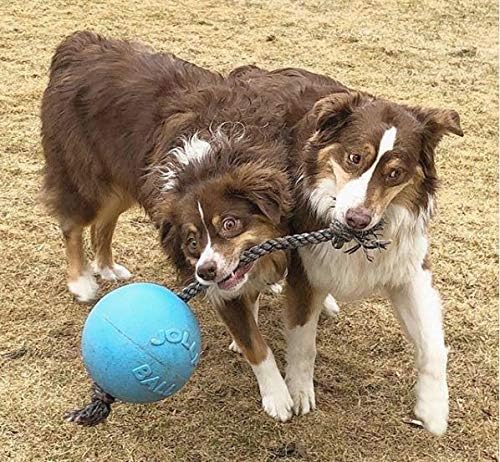 Jolly Pets Romp-N-Roll Rope & Ball Dog Toy, 8 in Large