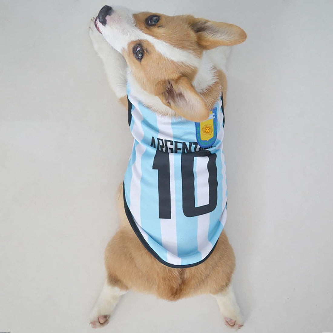 GabeFish Dog World Cup T Shirt Pets Football Jersey Sports Soccer