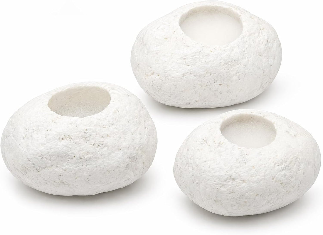 Natural River Stone Plant Weights for Aquarium