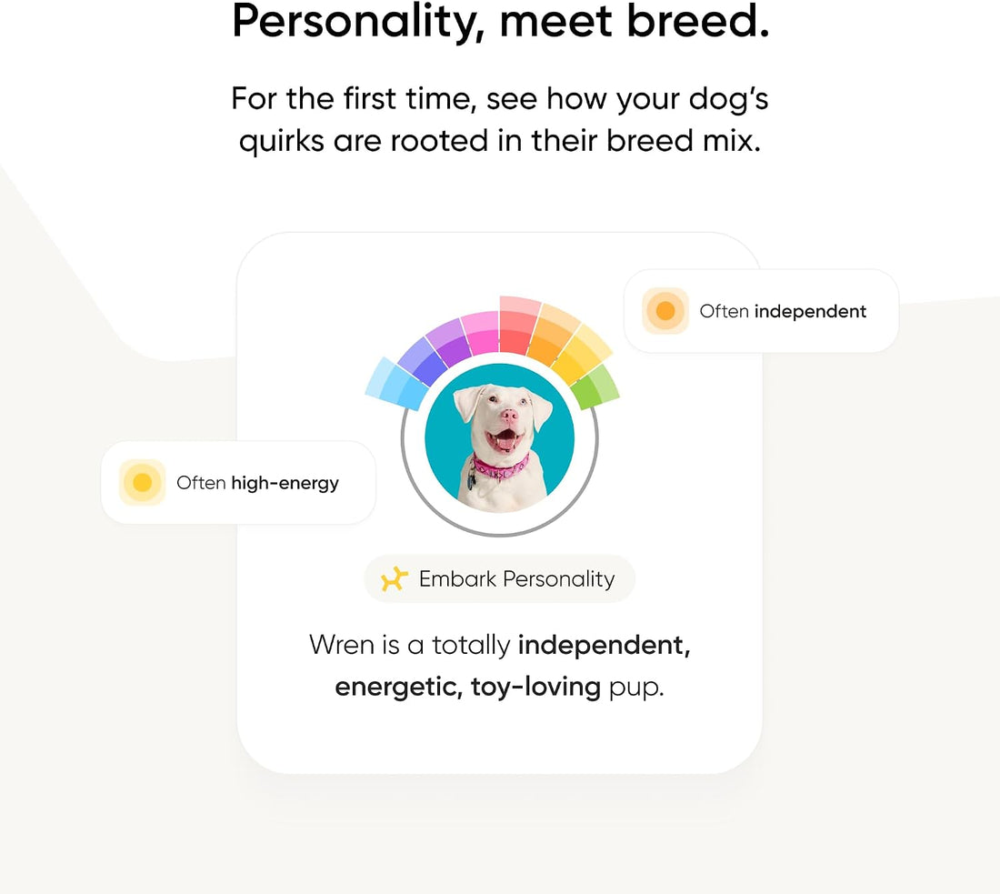 Embark Breed Identification Kit - Most Accurate Dog DNA Testing Kit