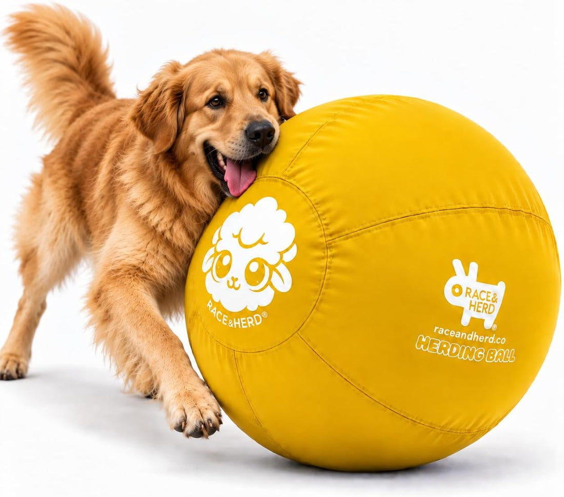 Race&Herd 25" Original Herding Ball — Cover, Inner Ball & Pump (Ocean)