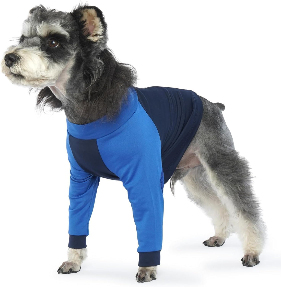 LeLePet Dog Recovery Suit for Front Legs, Dog Sleeve to Stop Licking