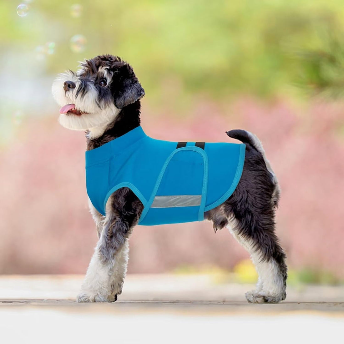 MIGOHI Dog Anxiety Relief Coat, S