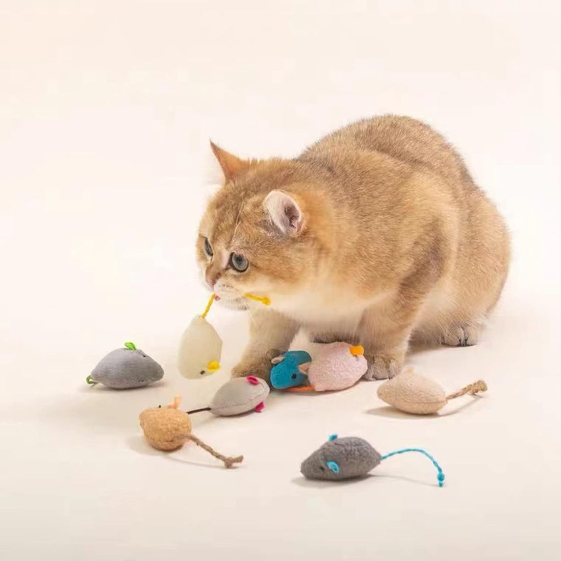 Catnip Toy, Cats Mouse Plush Cat Toys