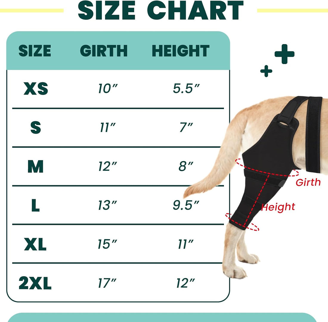 Dog Rear Leg Sleeve to Stop Licking