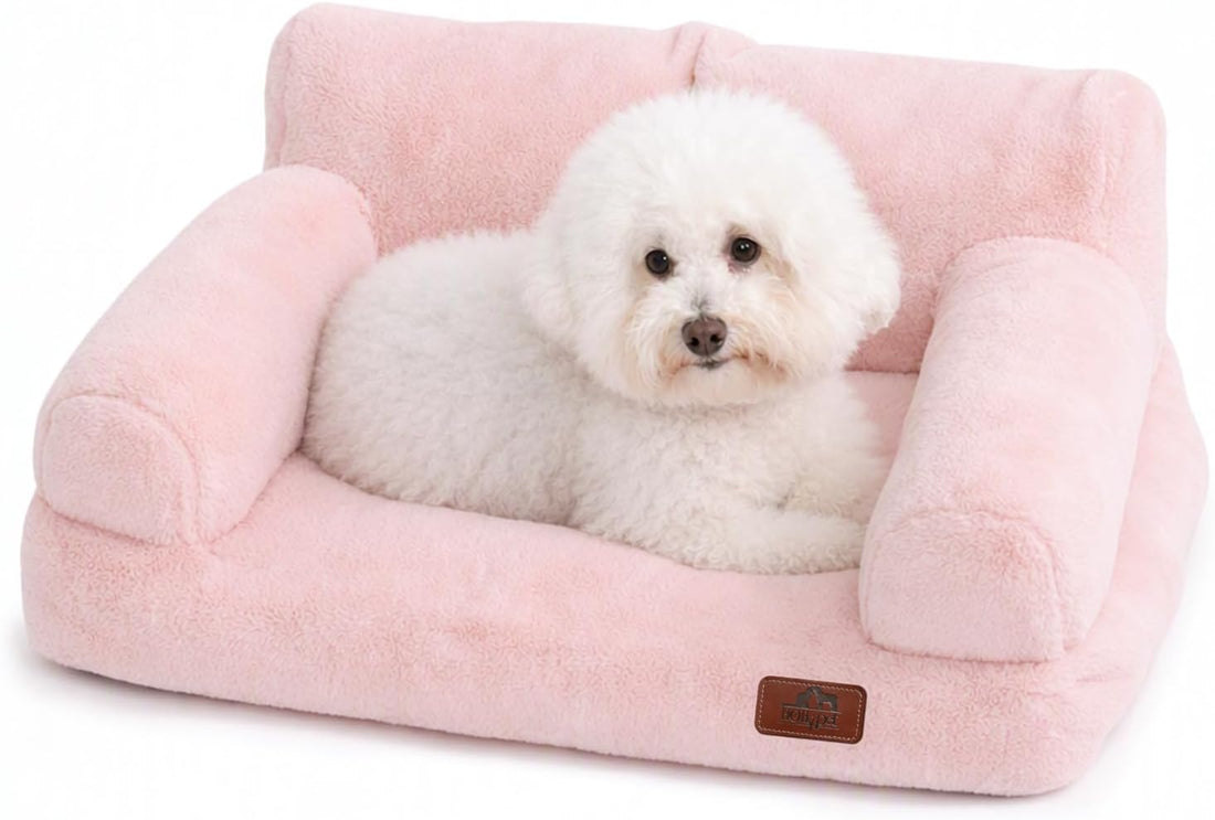 Hollypet Small Dog Large Cat Bed Puppy Couch Beds for Pets up to 25