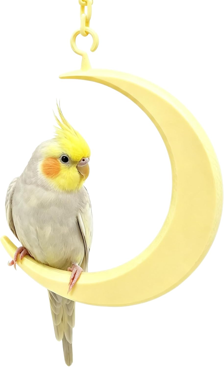 Bird Toys for Parakeets, Wheel Spinning Parrot Toy with Bells