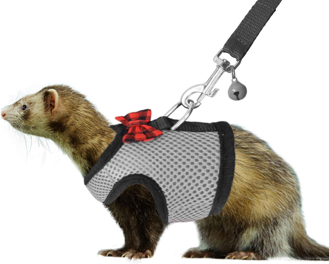 2pcs Animal Harness and Leash