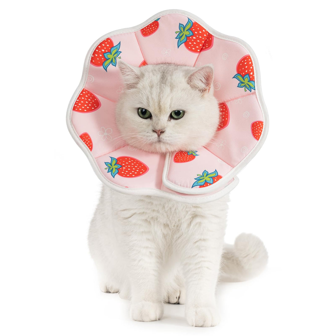 Avont Soft Cat Recovery Cone Collar