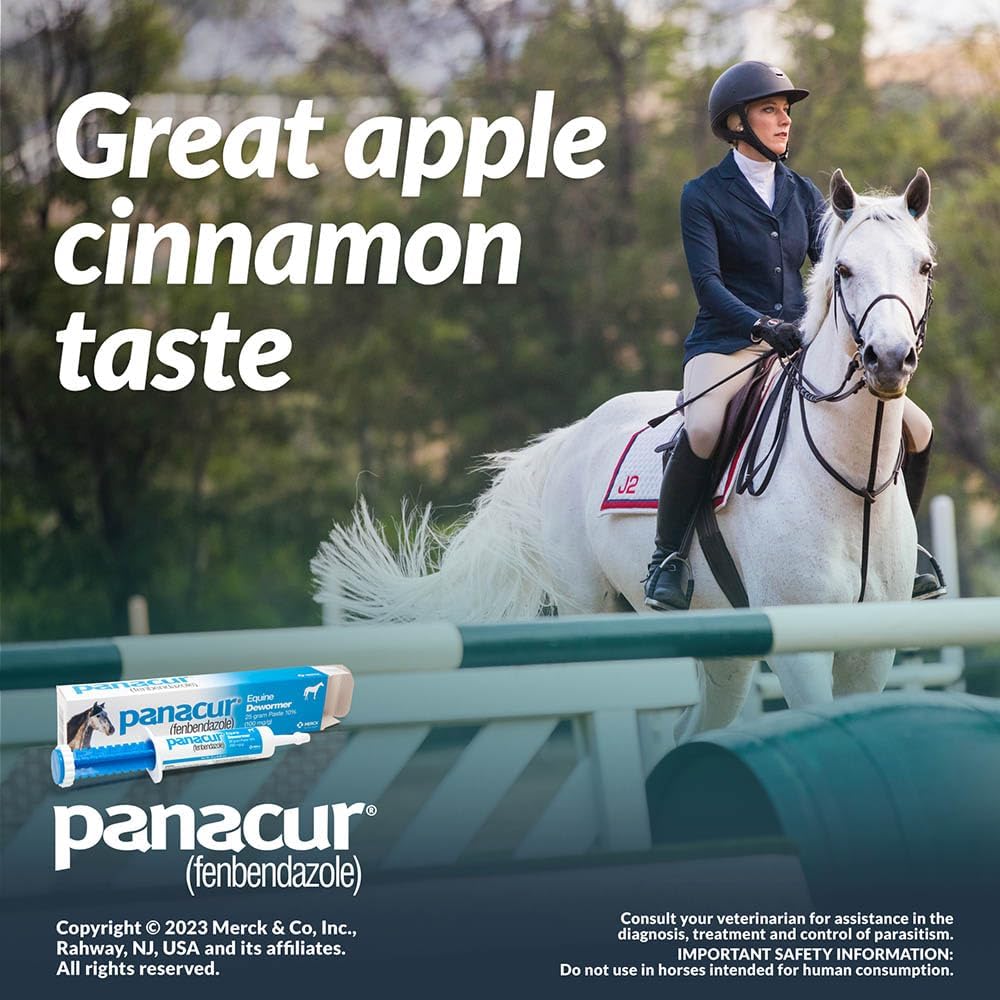 (3 Pack) PANACUR Dewormer Horse Paste 10%, 100mg Each