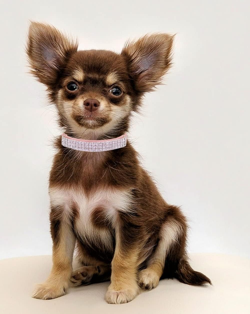 THAIN Rhinestones Cat Dog Collar Soft Velvet Safe Adjustable Collar