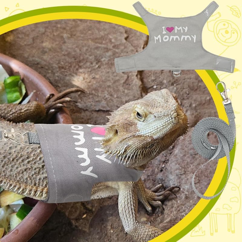 Bearded Dragon Leash and Harness Adjustable