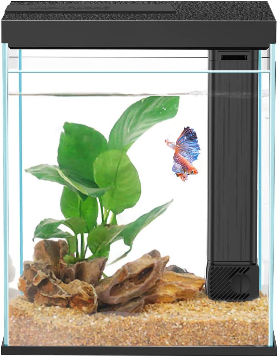 Pronetcus Betta Fish Tank, 2 Gallon Glass Aquarium Starter Kit