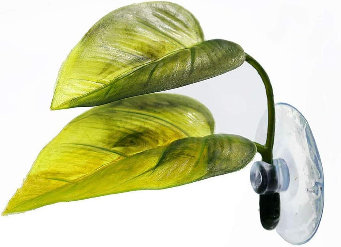 3 Pack Betta Fish Hammock Plant Leaf Pad Fish Spawning Grounds