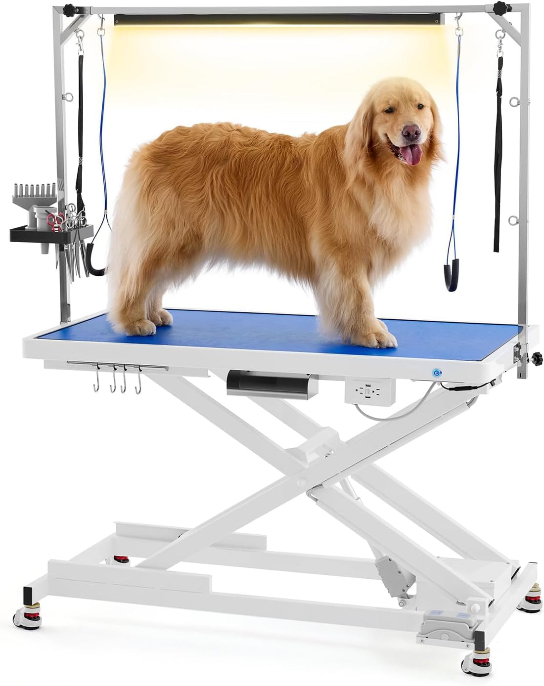 POLIMO Professional LED Electric Dog Grooming Table - Heavy Duty