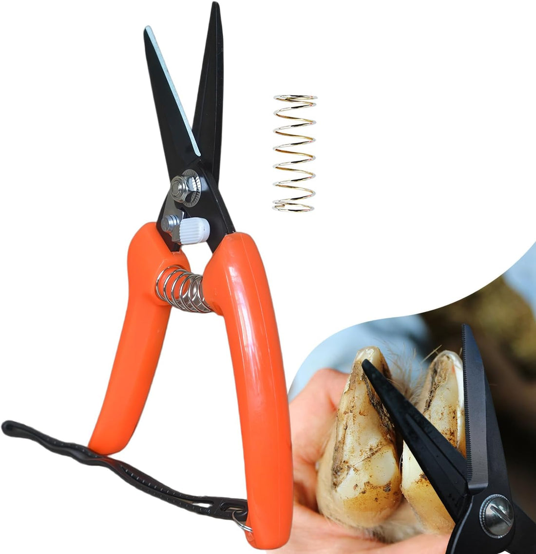 Goat Hoof Trimmers Serrated-Blade Hoof Trimmers for Goat, Sheep
