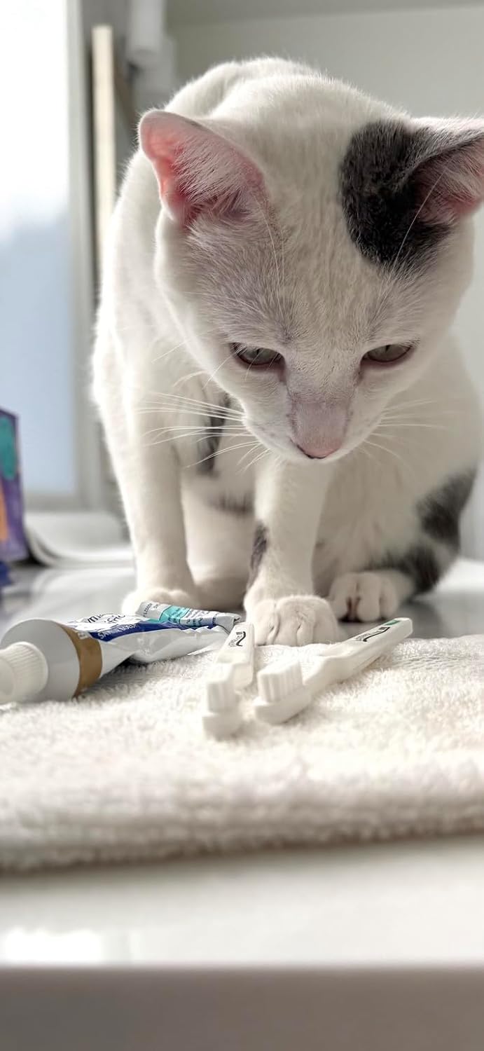 Kittyteeth Cat & Dog Toothbrush - Made in The USA