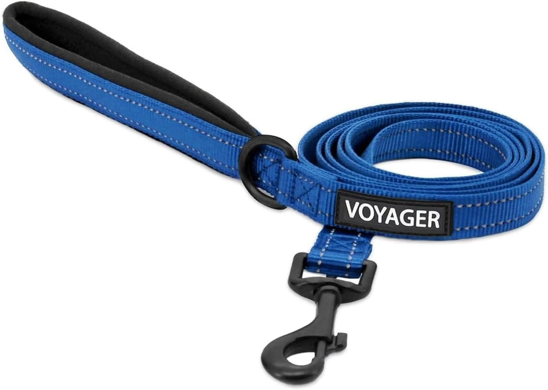 Best Pet Supplies Voyager Dog Collar Safety Clip with Dual Clasps