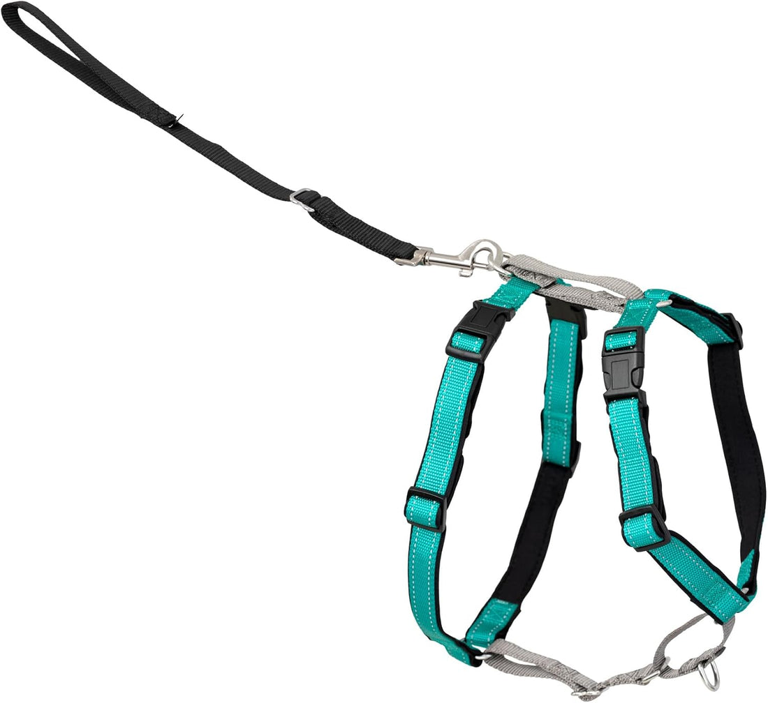 PetSafe 3 in 1 No-Pull Dog Harness - Walk, Train or Travel