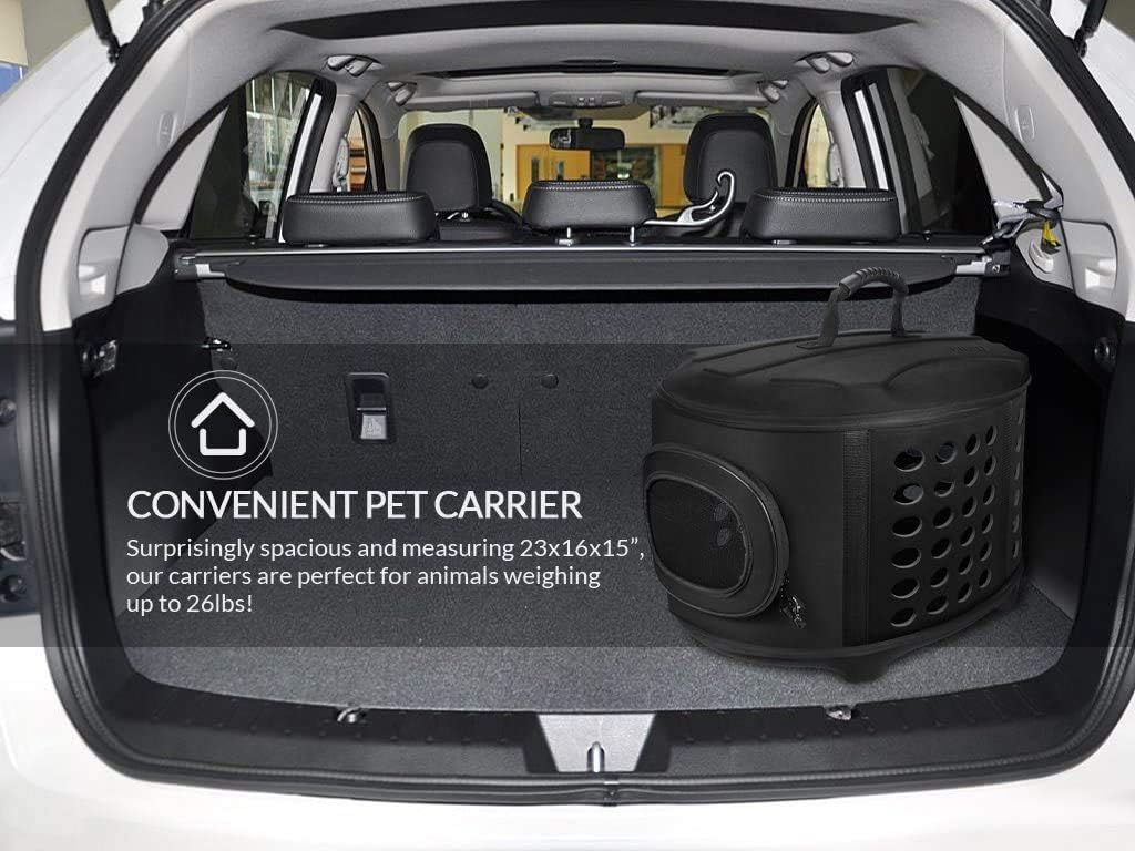 Collapsible Cat Carrier Hard