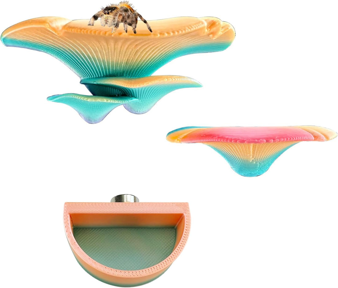2 Pack Jumping Spider Accessories Mushroom Ledges & 1 Pack Water Bowl