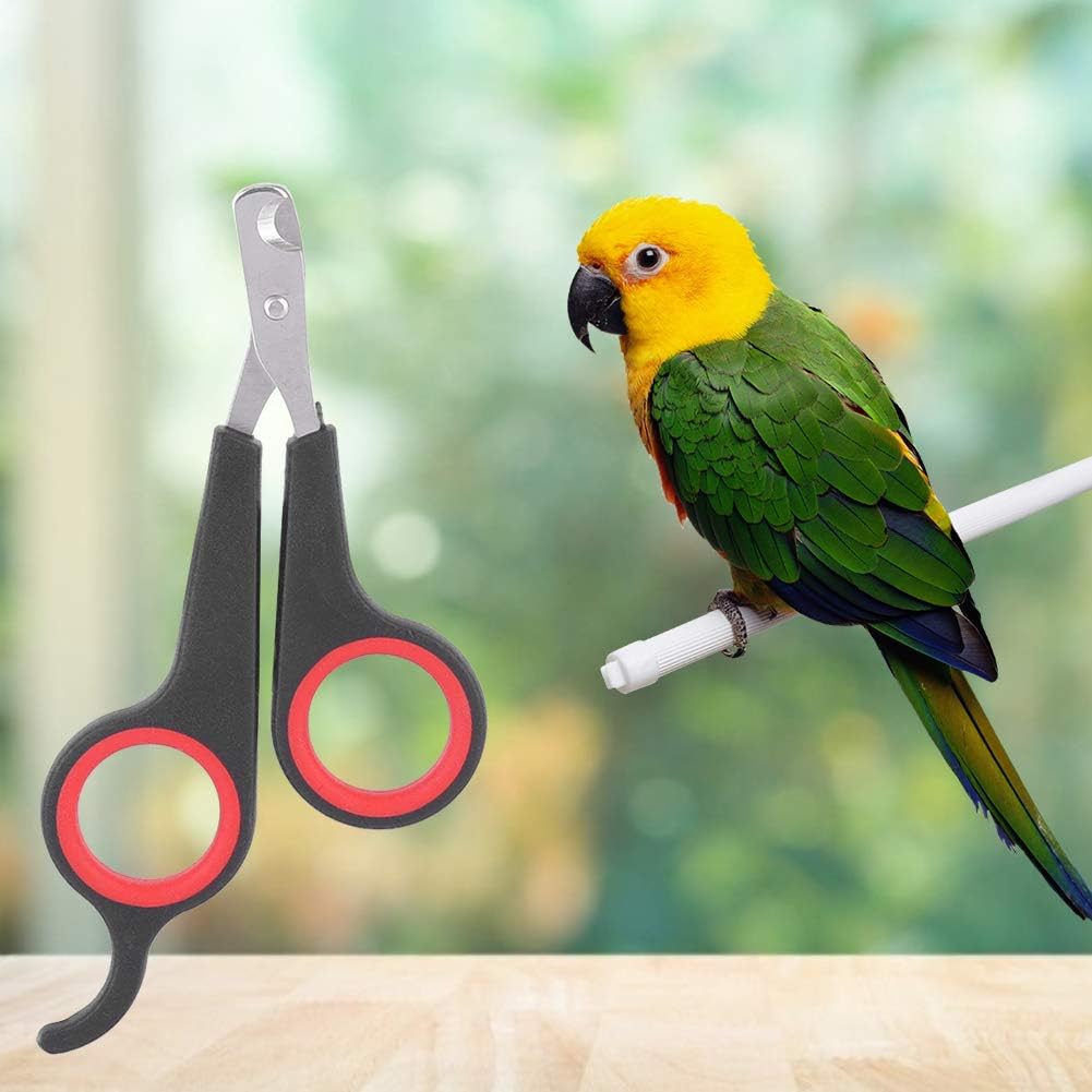 Animal Nail Scissors,Bird Nail Scissors,Beak Trimmer for Birds Pet