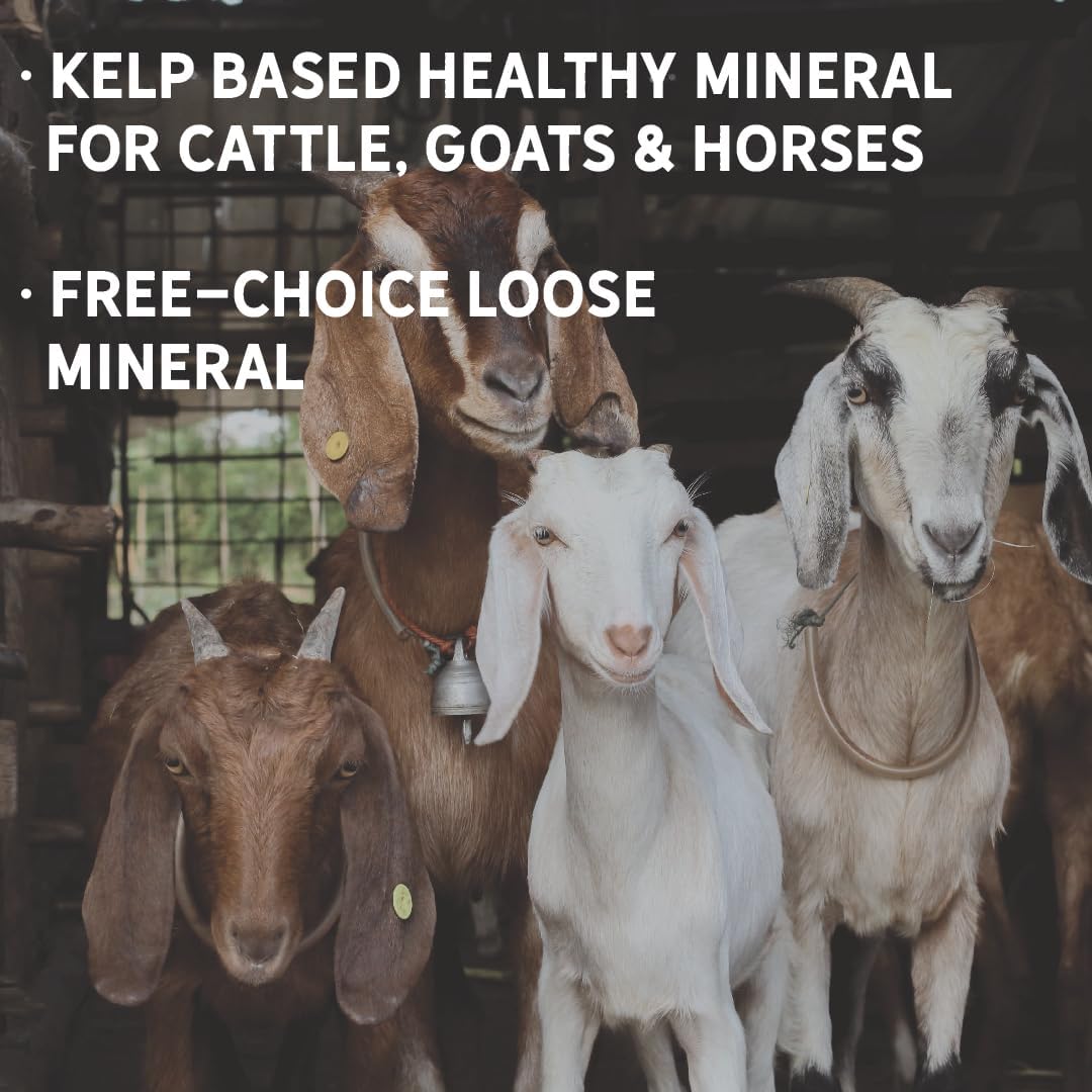 New Country Organics I Organic Kelp Supplement for Cattle