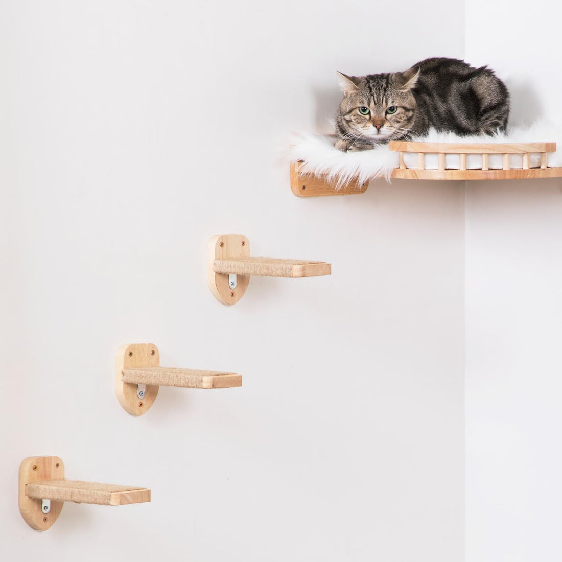 3pcs Cat Wall Steps, Climbing Mounted Furniture