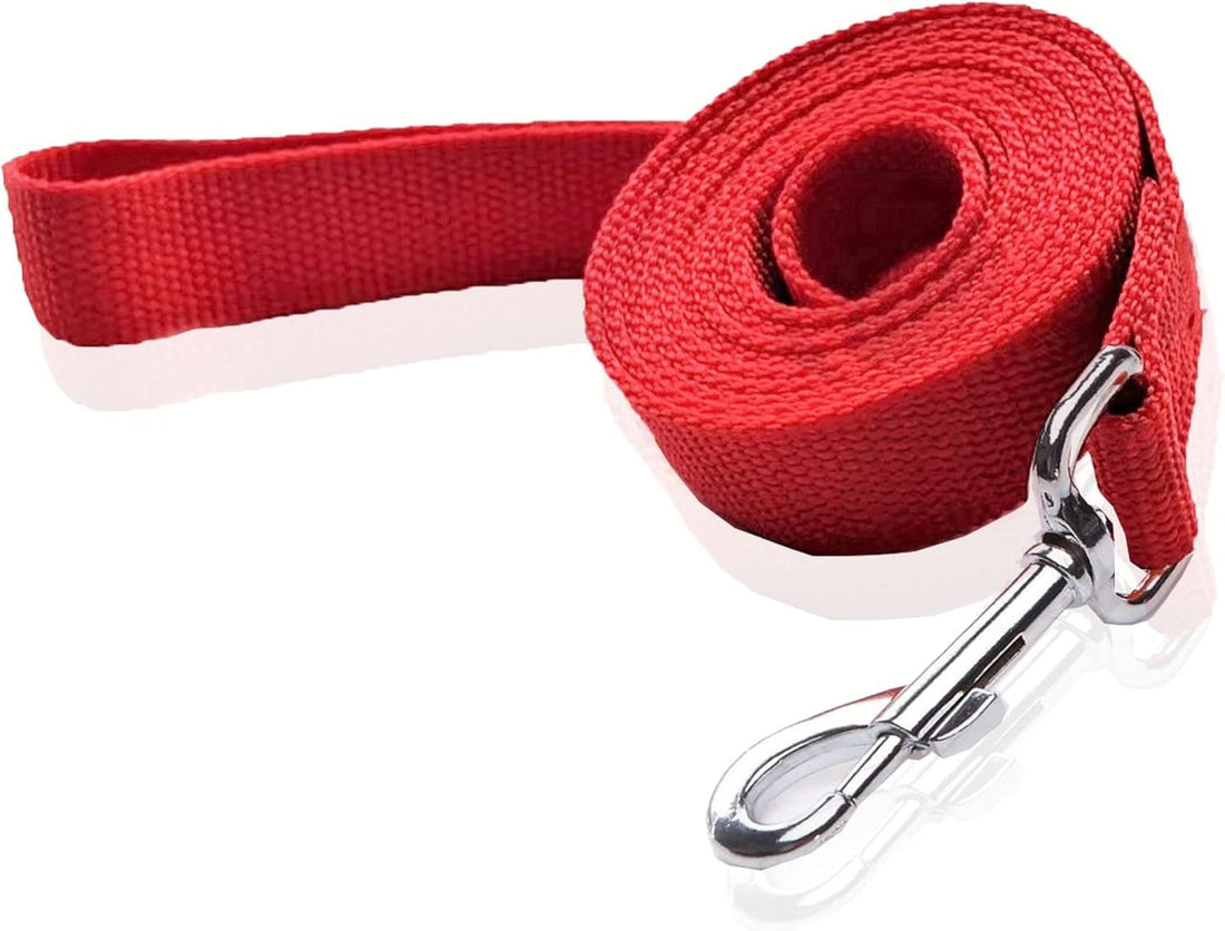 Nylon Dog Leash 8 Feet Long, Walking Training Dog Leashes for Medium