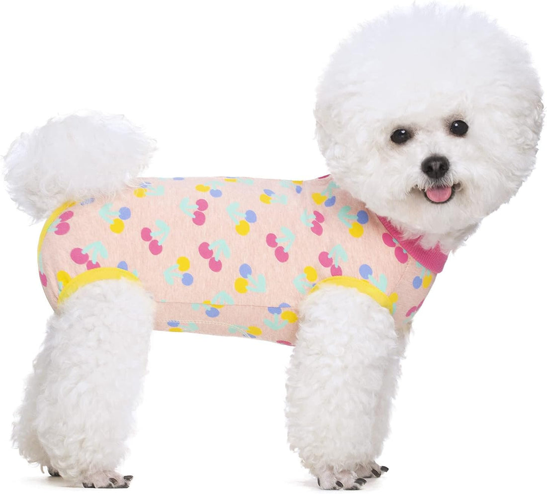 Miaododo 2 Packs Pet Dog Recovery Onesie Suit for Dogs Cats After