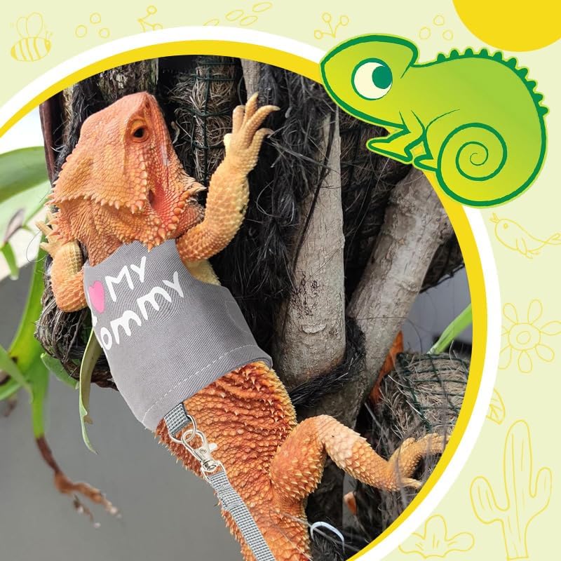 Bearded Dragon Leash and Harness Adjustable