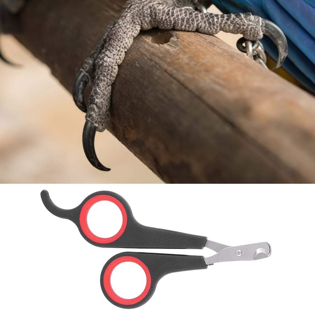 Animal Nail Scissors,Bird Nail Scissors,Beak Trimmer for Birds Pet