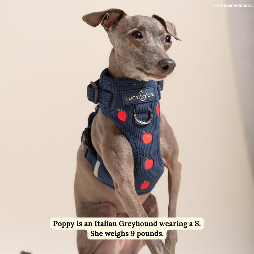 Lucy & Co. Appley Ever After Corduroy No-Pull Dog Harness, XL