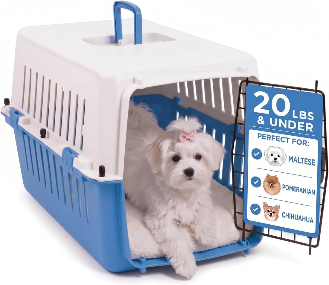 20-Inch Pink Hard Shell Pet Carrier for Small Dogs & Cats Under 15 Lbs